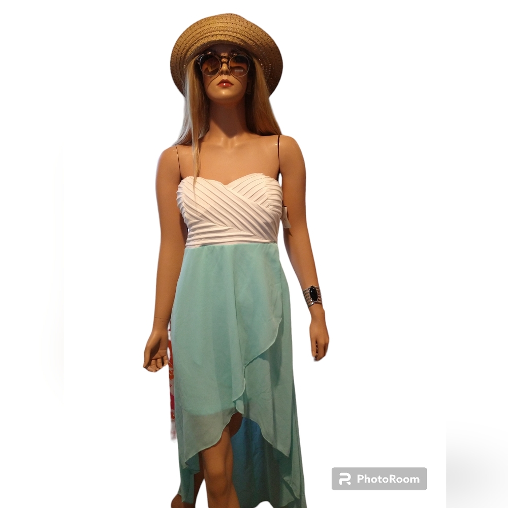 Windsor Strapless Banded Back Dress - Picture 3 of 14